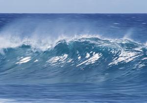 静岡駅近くで快適な滞在を実現するガーデンホテル静岡の魅力と詳細情報