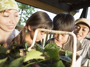 熊本市中心部に位置するビジネスホテル「東横INN熊本」:快適な宿泊体験を提供