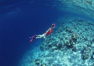 神奈川県相模原市のビジネスホテル:東横INN京王線橋本駅北口の完全ガイド