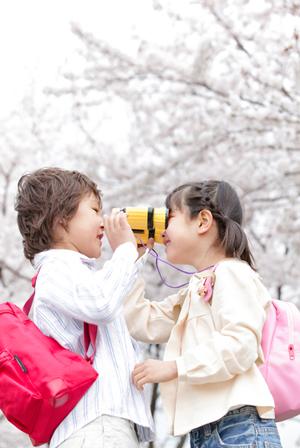 家族で楽しむ石垣島アクティビティ|子供も安心のおすすめプランガイド