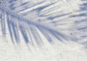 愛知県知立市のビジネスホテル「東横INN名鉄知立駅前」:快適な宿泊と便利なアクセスの詳細ガイド