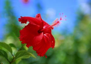姫路駅から徒歩5分の快適空間と便利なサービスを提供する東横INN姫路駅新幹線北口の全詳細ガイド