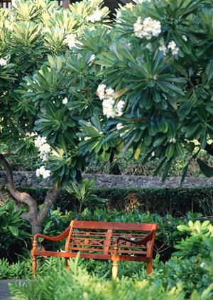 熊本駅から徒歩2分の便利なビジネスホテル|東横INN熊本駅前の魅力と特徴