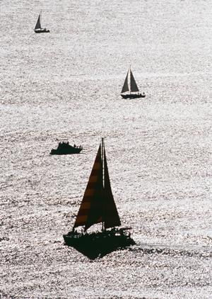 山口県徳山市のビジネスホテル:東横INN徳山駅北口の魅力と詳細情報
